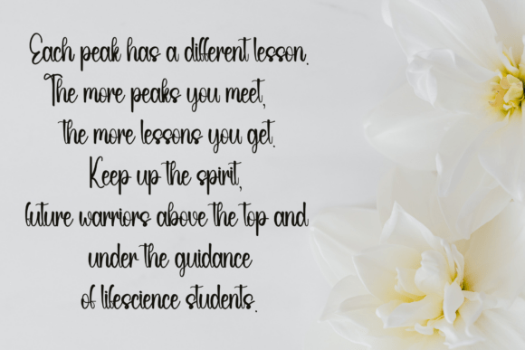 School Newyear Font PNG with transparent background - Preview 3