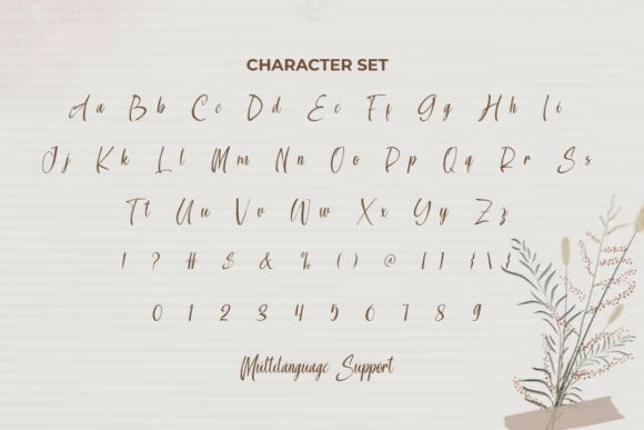 Bainca Ariella Font - Preview 3