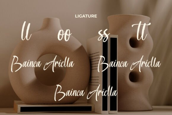 Bainca Ariella Font - Preview 5