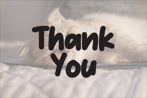 Meyow Font PNG with transparent background - Preview 3