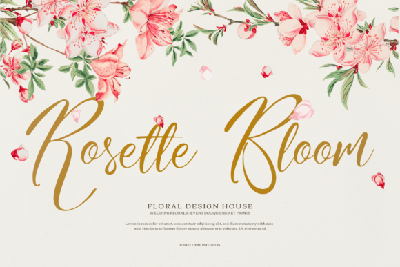 Nomesyl Bridella Font PNG with transparent background - Preview 1