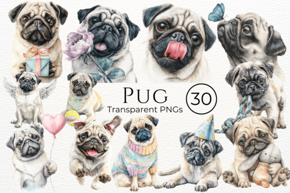 Watercolor pug portrait clipart PNG for sublimation prints