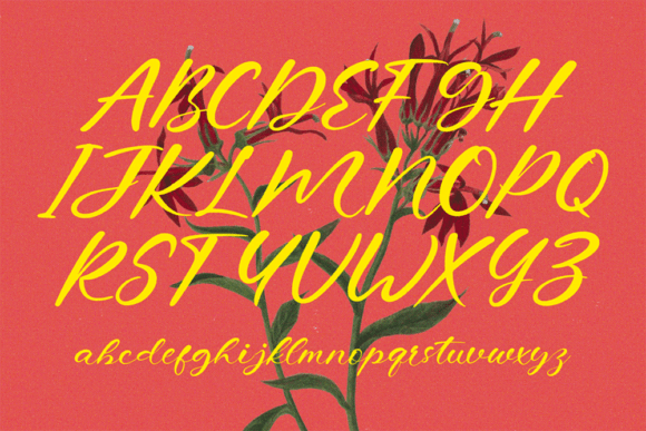 Bemsoer Font - Preview 5