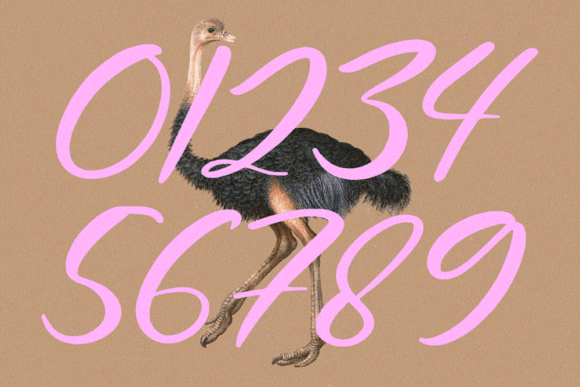 Bemsoer Font - Preview 6