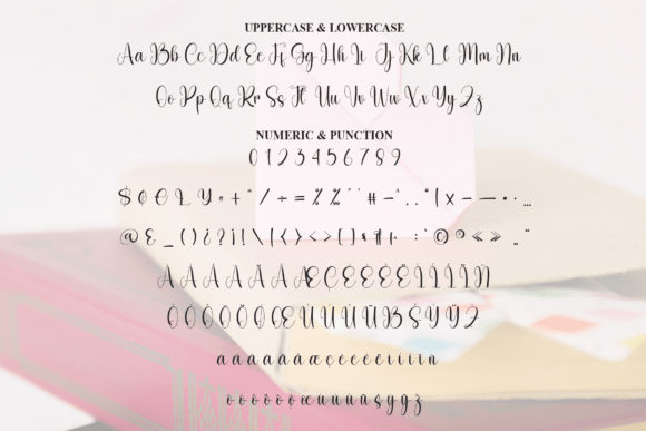 Bookloved Font - Preview 6
