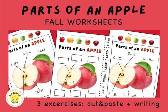 Parts of an APPLE Science Worksheet