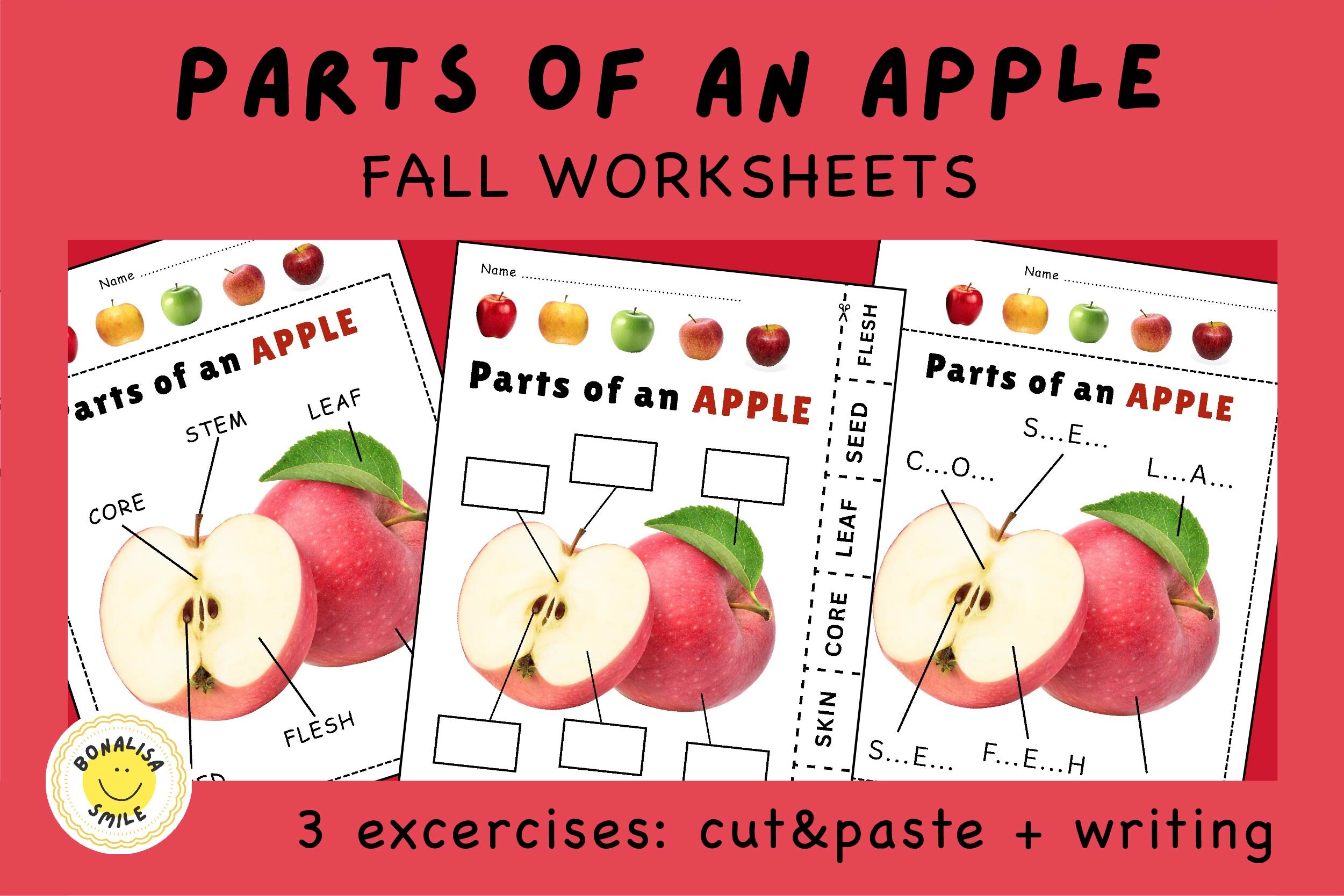 Parts of an APPLE Science Worksheet