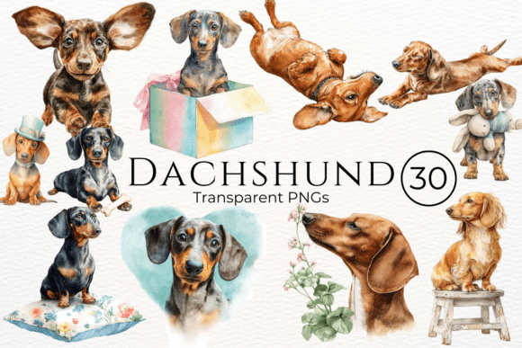 Watercolor dachshund clipart PNG for canvas printing