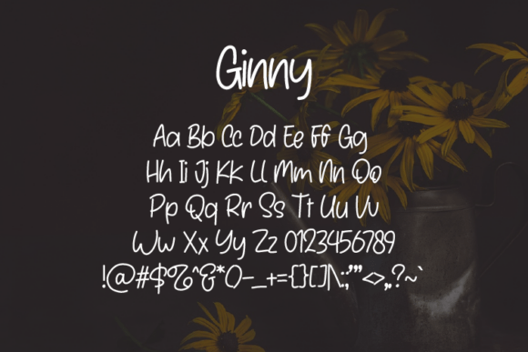 Ginny Font - Preview 1