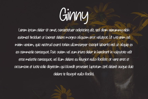 Ginny Font - Preview 2