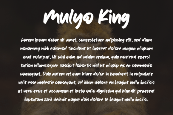 Mulyo King Font font preview - 2