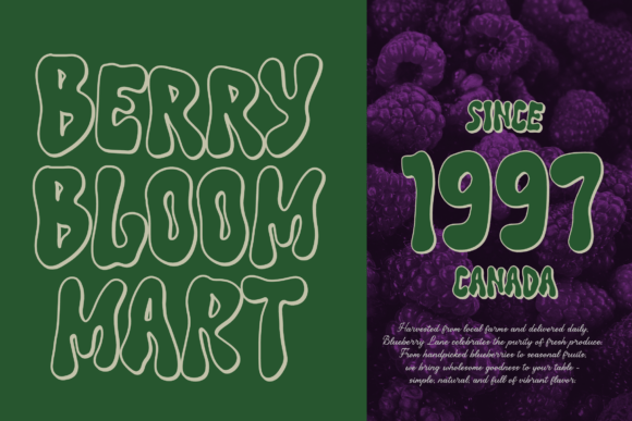 Perosra Font PNG with transparent background - Preview 3