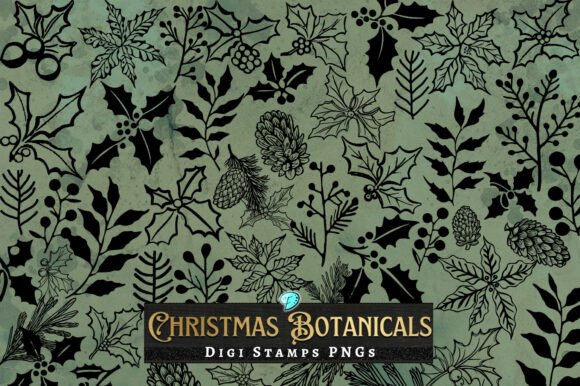 Christmas Botanicals Digi Stamps Clipart Graphic Illustrations By Emily Designs