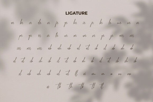 Kiona Rosebelle Font PNG with transparent background - Preview 6