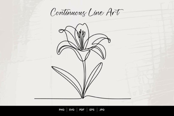 Lily Flower Line Art Illustration