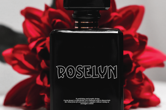 Book Black Font - Preview 3