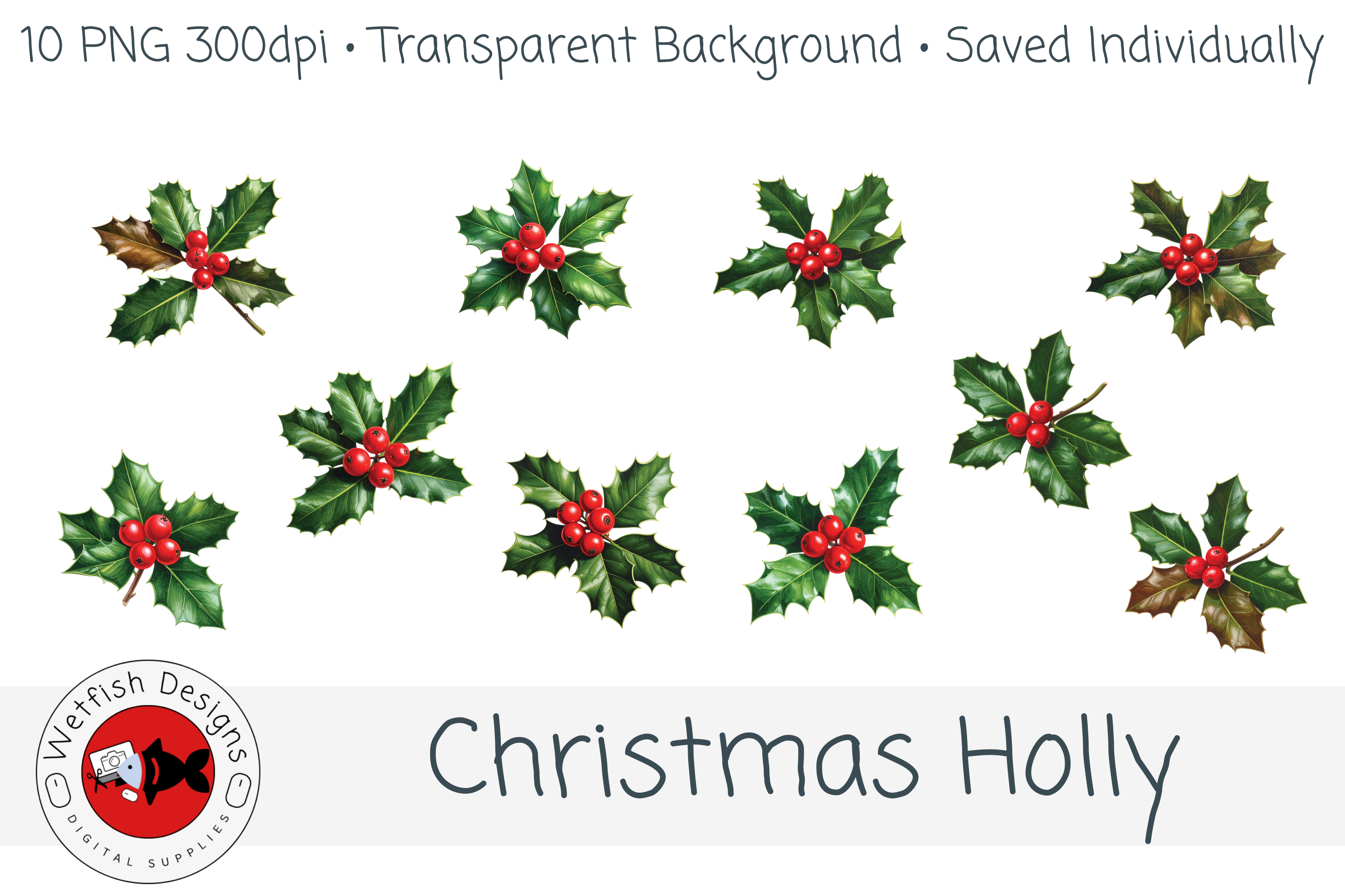 Christmas Holly – 10 PNG Clipart