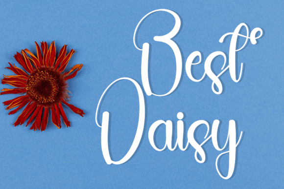 Daily Calm Font - Preview 3