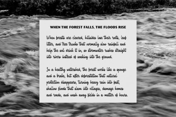 Fairforest Duo Font - Preview 3