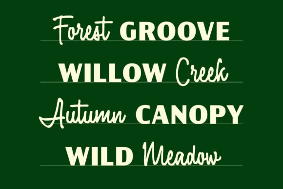 Fairforest Duo Font - Preview 4