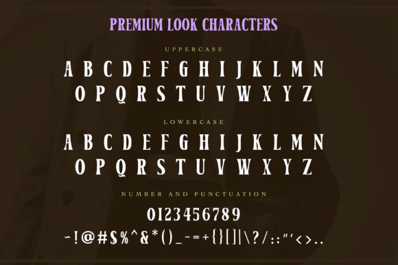 Premium Look Duo Font PNG with transparent background - Preview 3