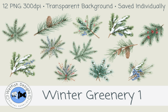 Winter Greenery 1 PNG Clipart