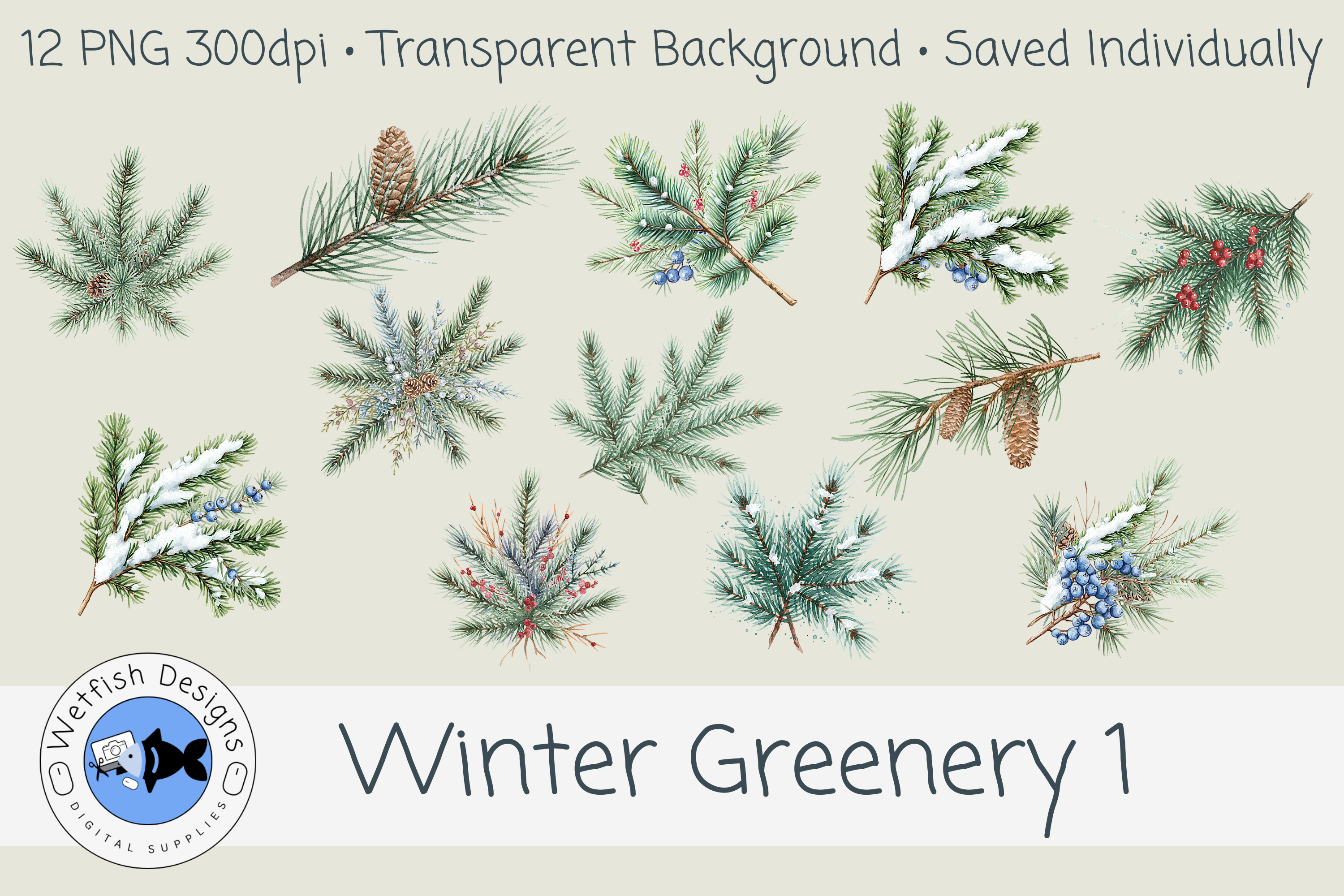 Winter Greenery 1 PNG Clipart