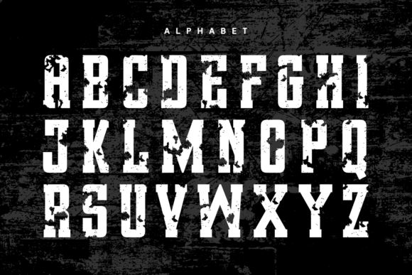 Alpha Leader Font - Preview 4