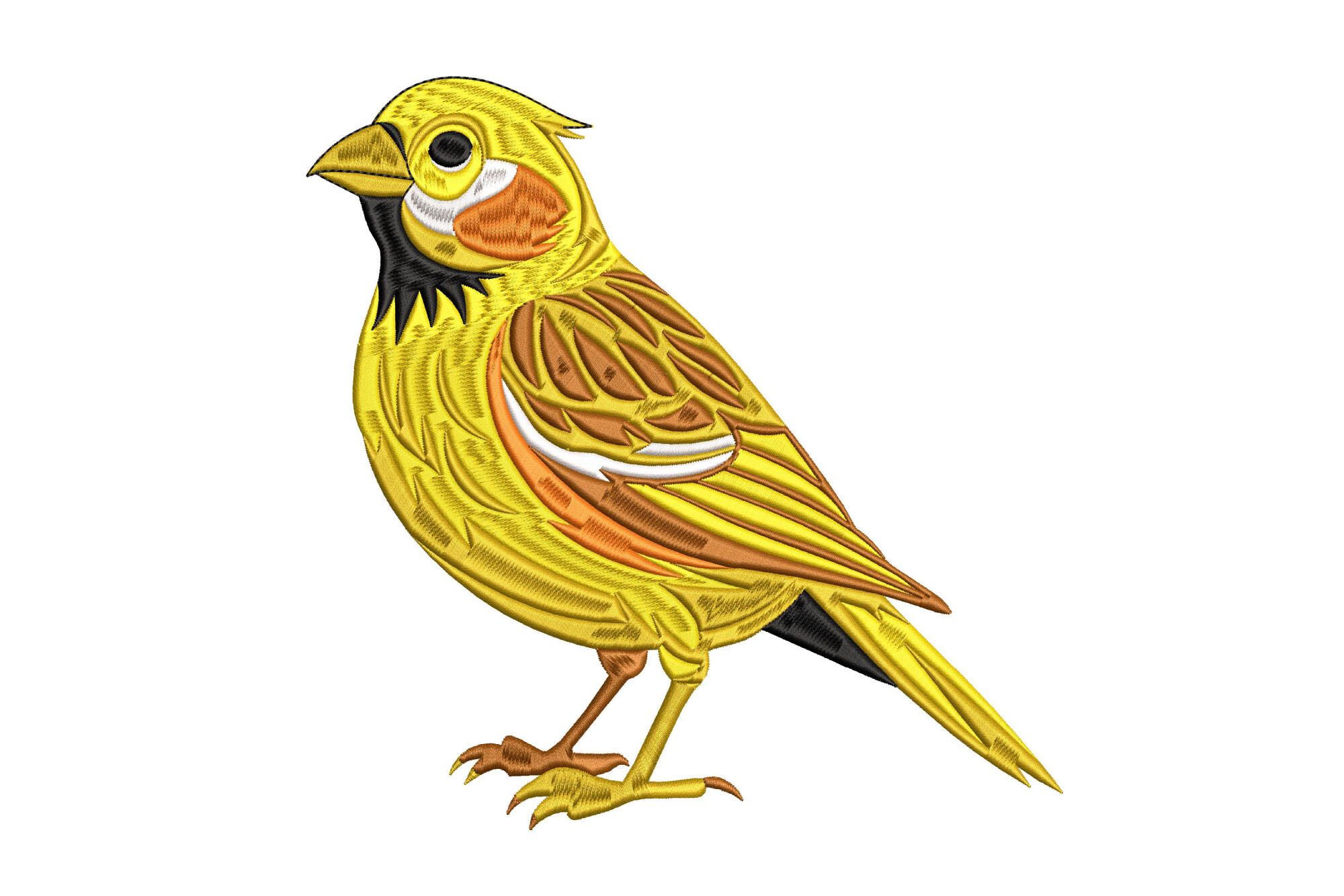 Canary Bird