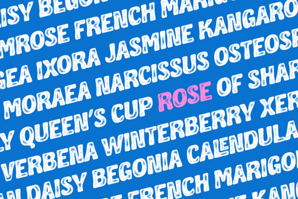 Coastline Font - Preview 4