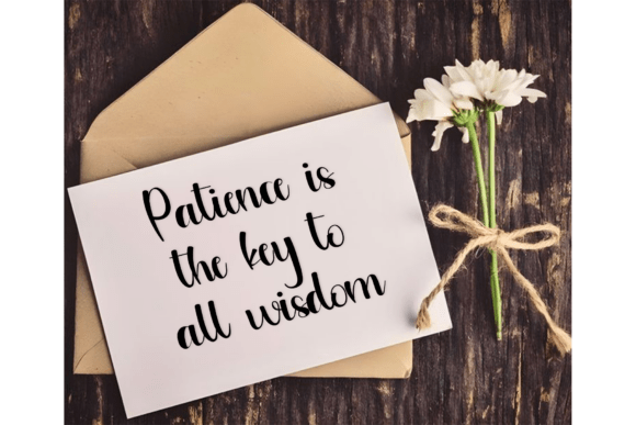 Butterflies Font - Preview 4