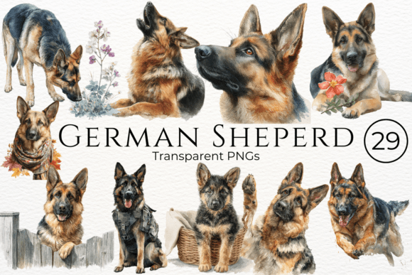 Watercolor German Shepherd portrait clipart for sublimation