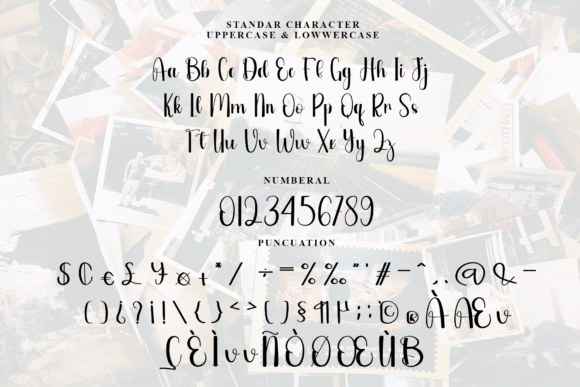 Homestay Font - Preview 5