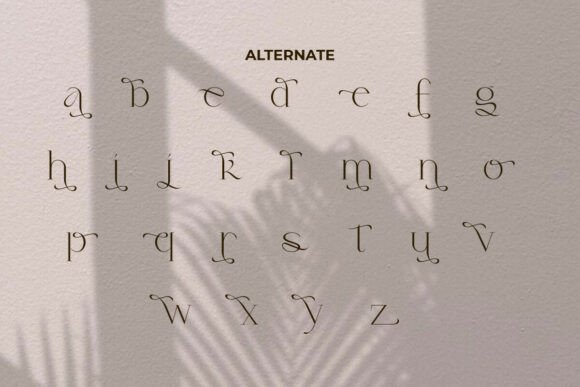 Alie Jasmine Font - Preview 6