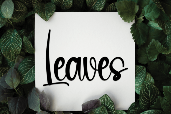 Beach Font - Preview 1
