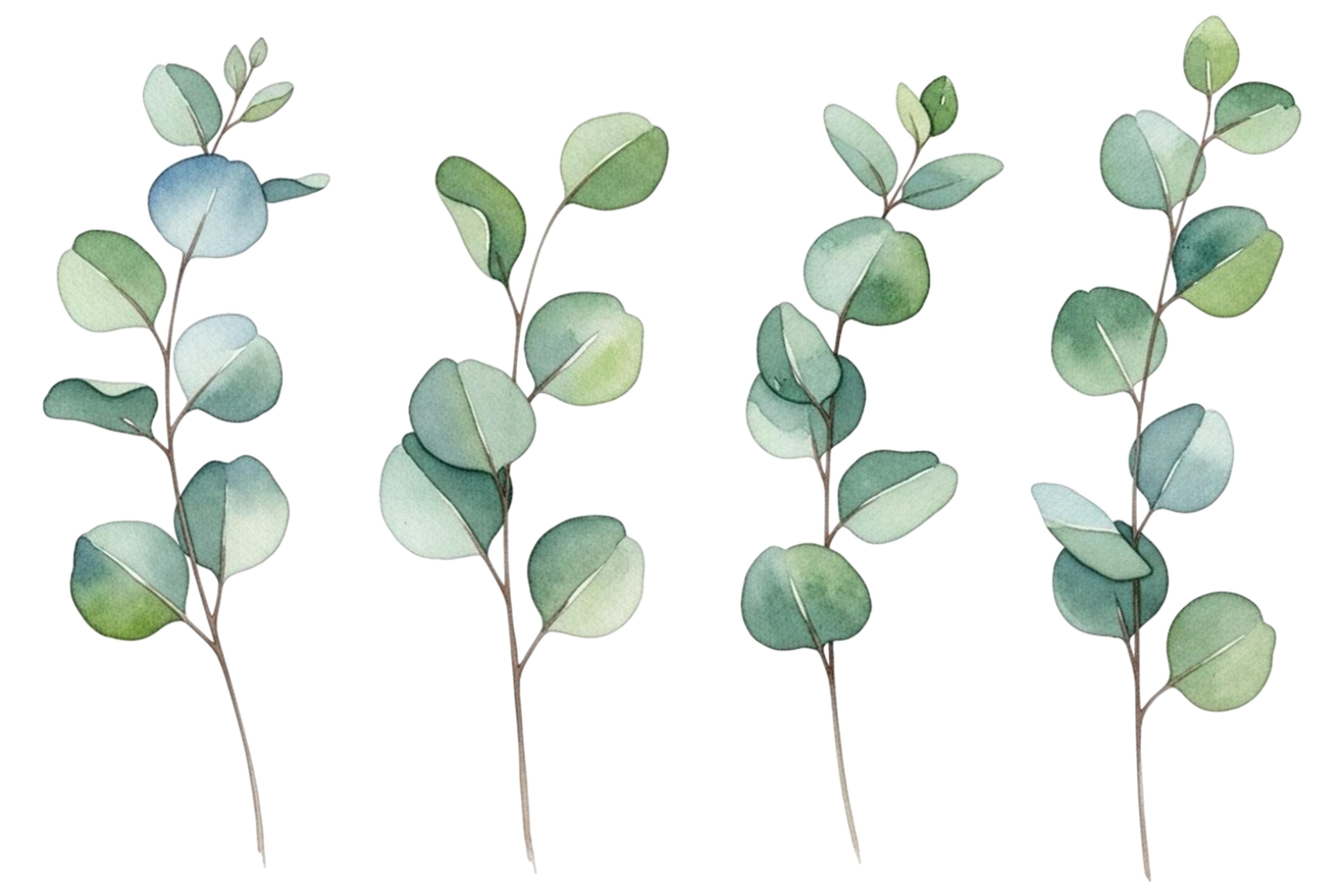 Watercolor Eucalyptus Leaves Set