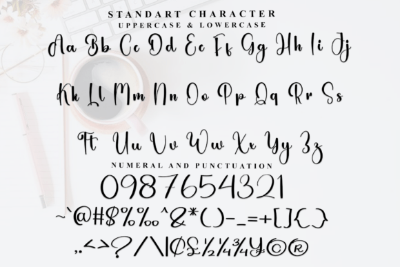 Beauty Autography Font - Preview 4