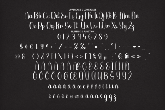 Calligraph Font - Preview 6