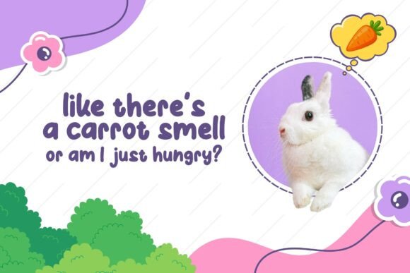 Cute Molina Font - Preview 2