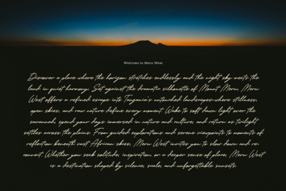 Fiorelyne Font - Preview 4