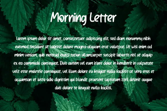 Morning Letter Font PNG with transparent background - Preview 2