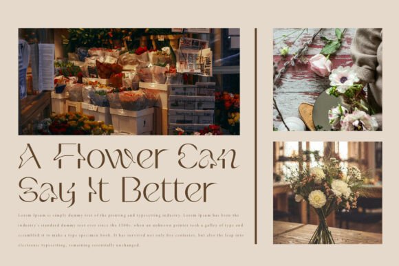 Shavenna Font PNG with transparent background - Preview 4