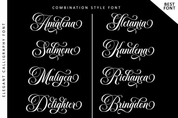 Belgia Calligraphy Font - Preview 6