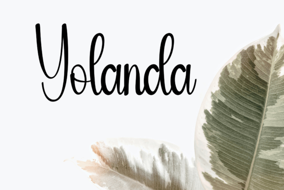 Blanket Font - Preview 2