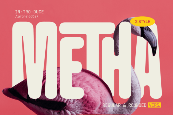 Metha Sans Serif Font By zeenesia