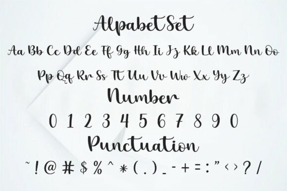Clean Signature Font - Preview 1