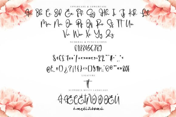 Elegant Signature Font - Preview 5