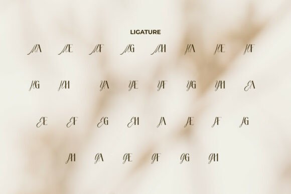 Maisa Yasmine Font PNG with transparent background - Preview 6