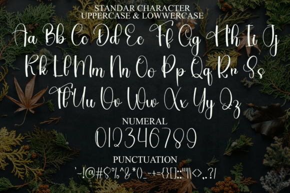 Catalina Handmade Font - Preview 6