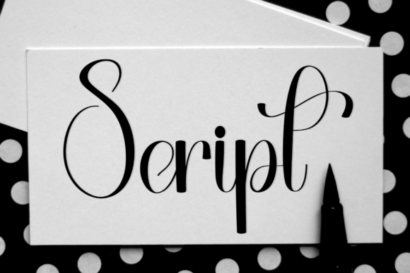 Gastonia Calligraphy Font - Preview 3